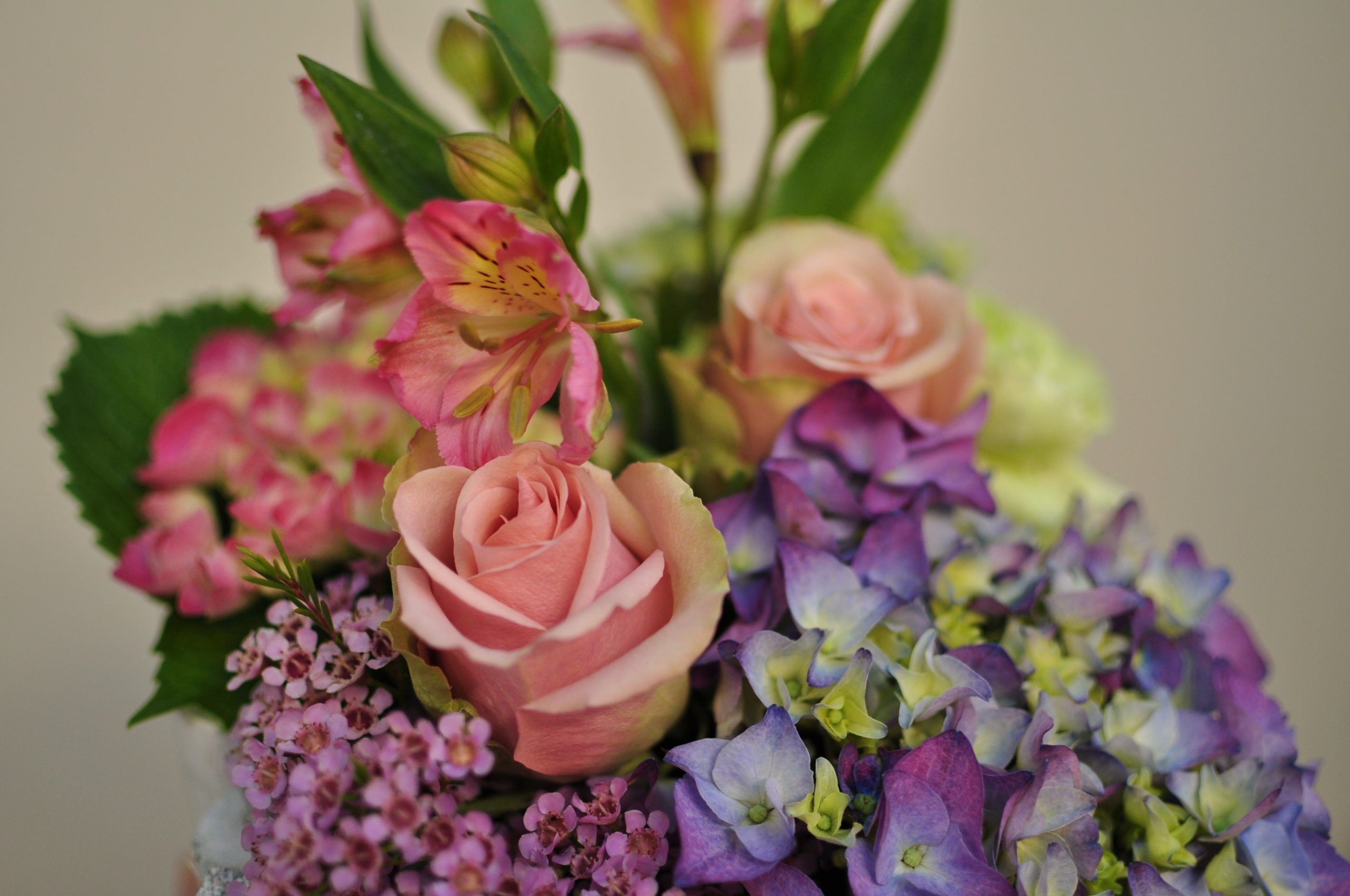 bouquet e fiori recisi