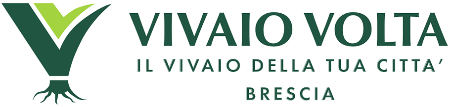 logo vivaio volta