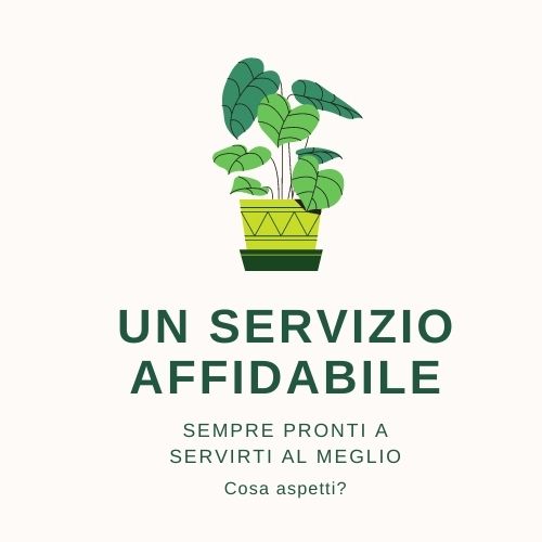 vivaio volta affidabilità piante brescia