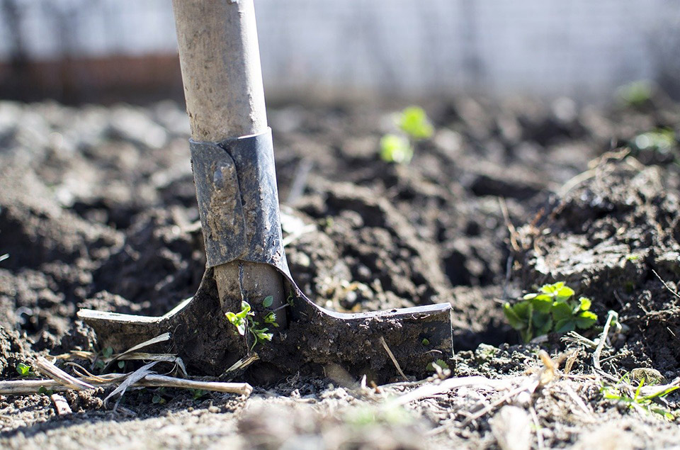 arricchire il terreno con letame o compost