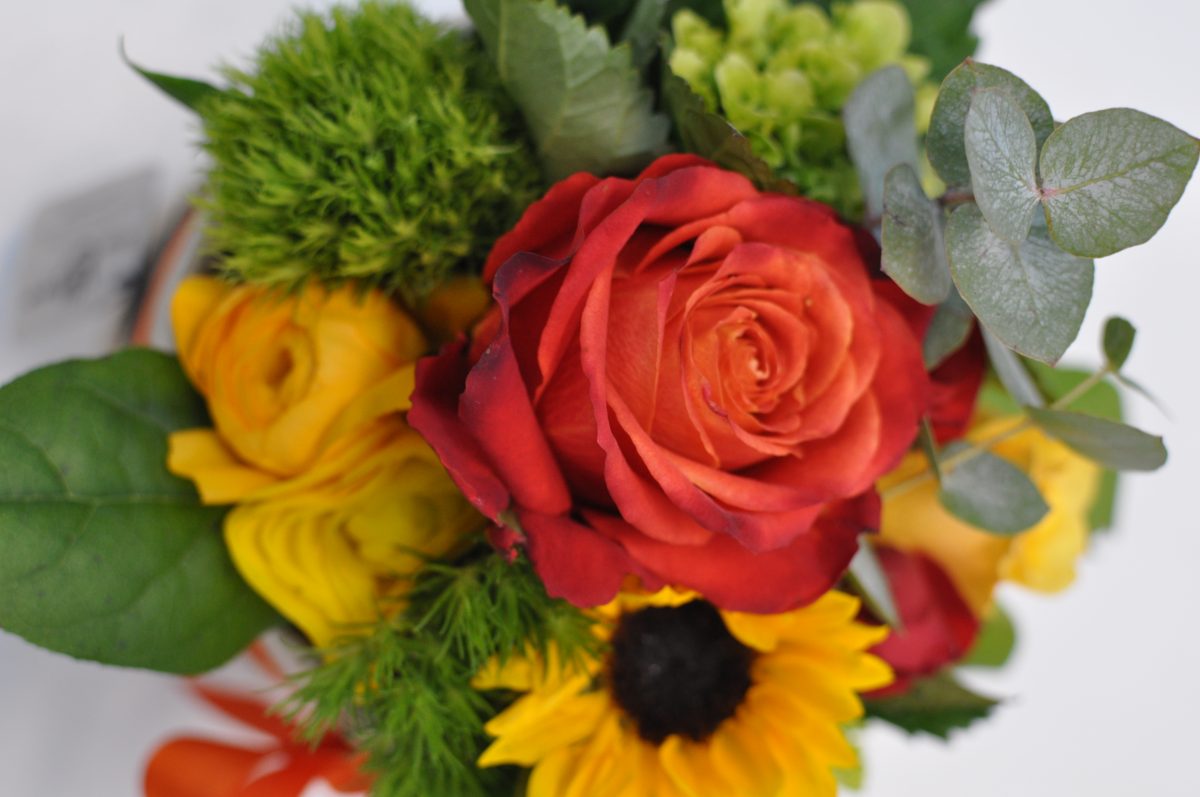 consegna domicilio piante e fiori brescia 